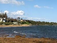 Beaumaris to or from Melbourne Airport