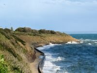 Blackrock to or from Melbourne Airport